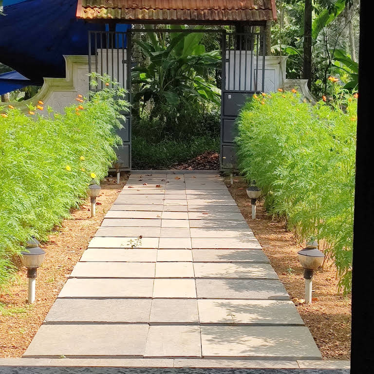 Garden pathway leading to the gate